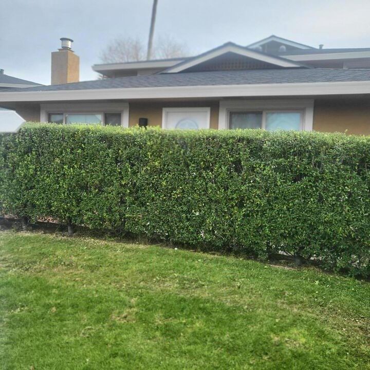 Property Photo: 1420 Ruby Court 1 CA 95010