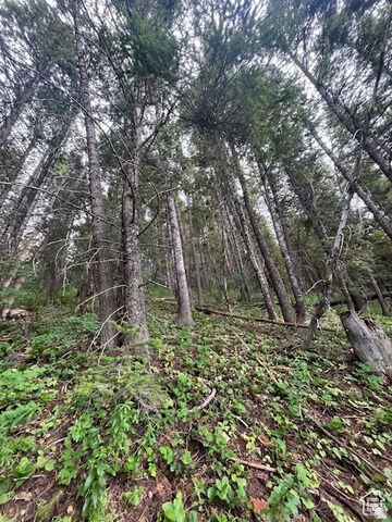 Property Photo: 415 E Matterhorn Dr. S 138 UT 84098