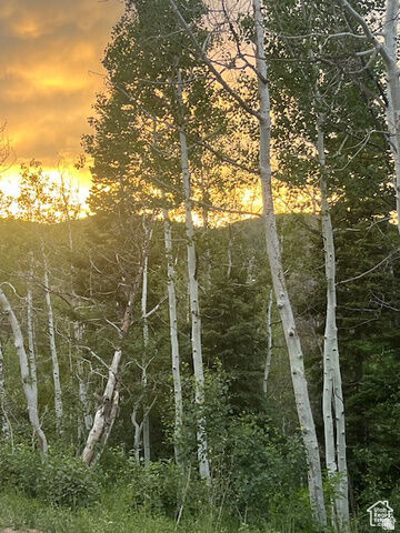 Property Photo:  415 E Matterhorn Dr. S 138  UT 84098 