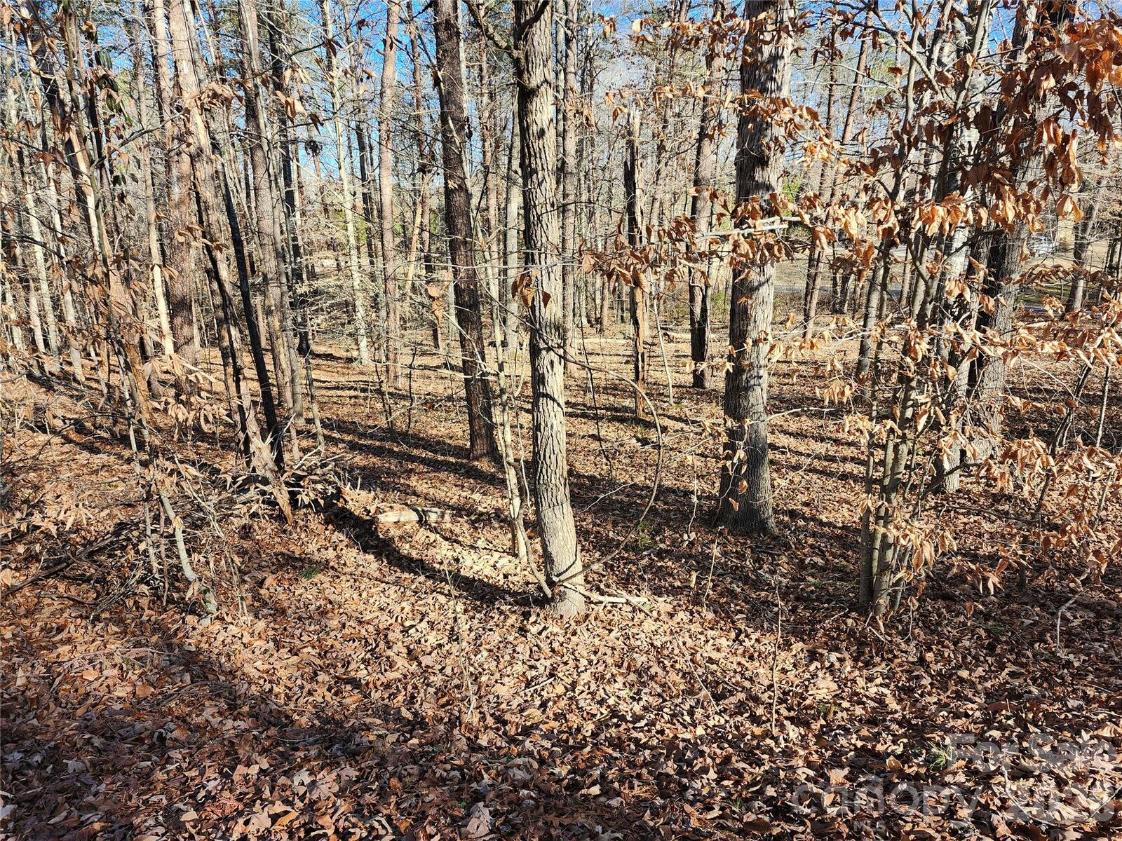 Property Photo:  0000 Forest Ridge Road 22  NC 28782 