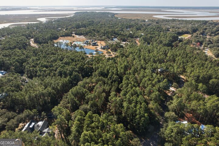 Property Photo: V/L 238 Lateral Buoy Lane GA 31558