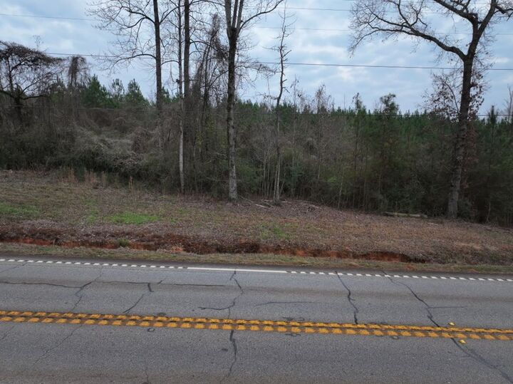 Property Photo: Parcel C3-300 US Highway 0027 GA 31811