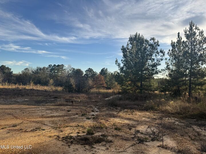 Property Photo:  9 Acres Parker Road  MS 39561 