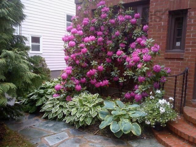 Property Photo:  1950 Connaught Avenue  NS B3H 4E1 