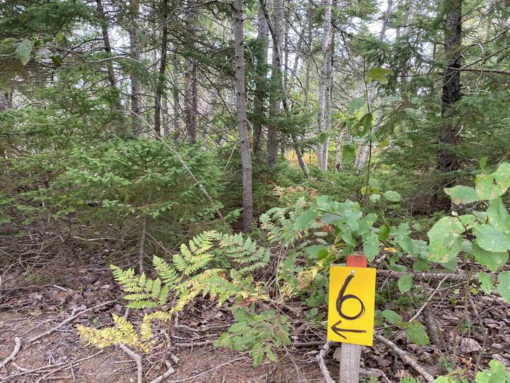 Photo de la propriété:  Lot 6 Floating Bridge Road  PE C0A 1W0 