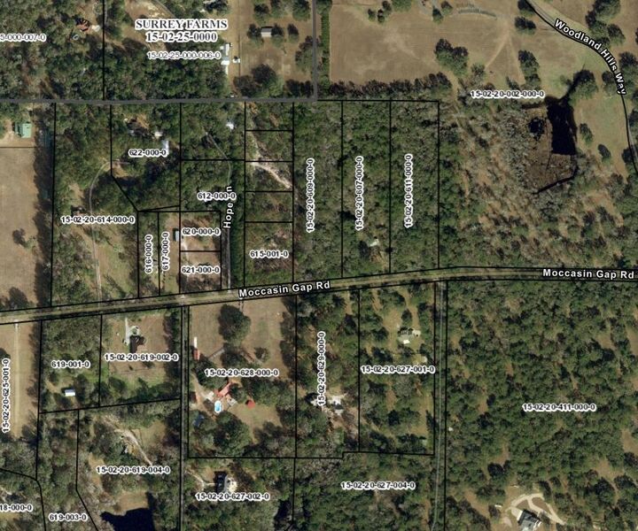 Property Photo: X Moccasin Gap Road FL 32309