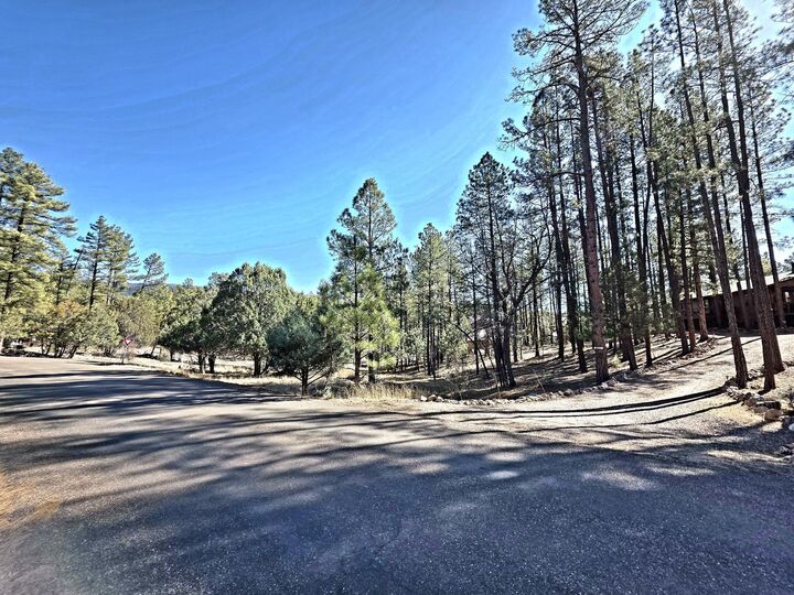 Property Photo:  122 S Hunter Creek Drive  AZ 85541 
