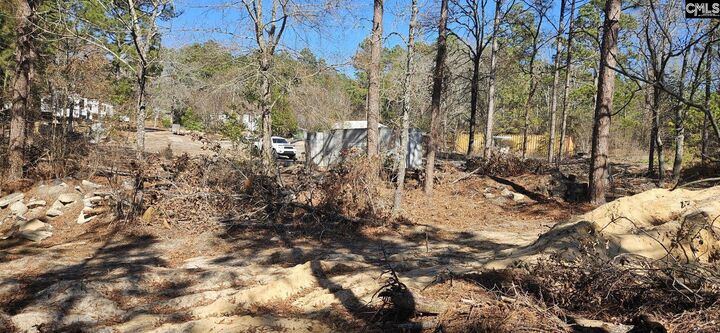 Property Photo:  257 Irvin Jumper  SC 29053 