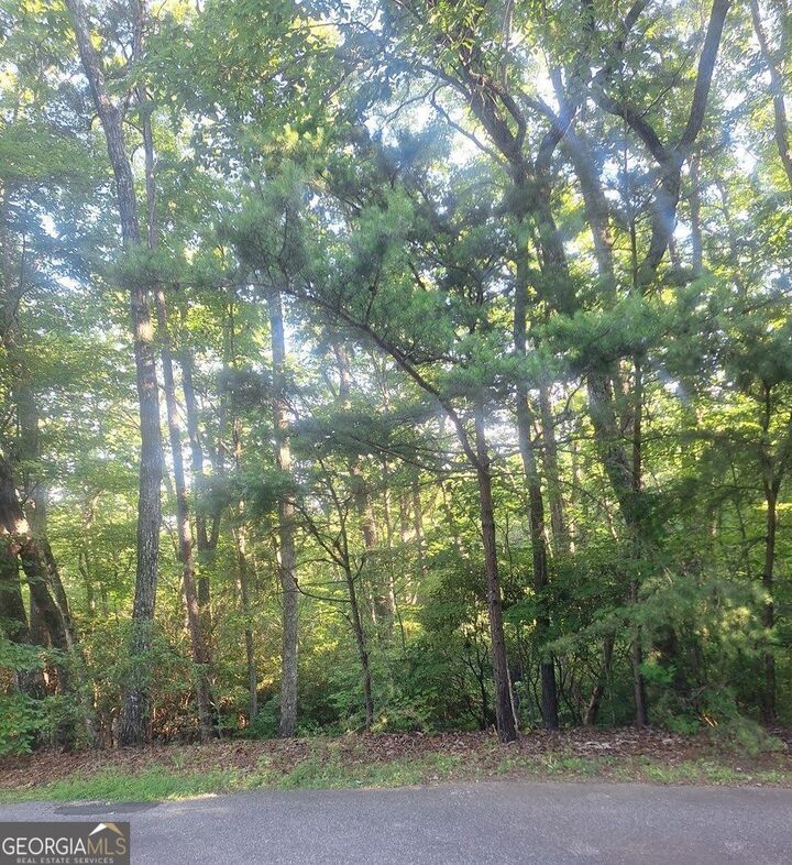 Property Photo:  9 Cook Mountain Drive  GA 30512 