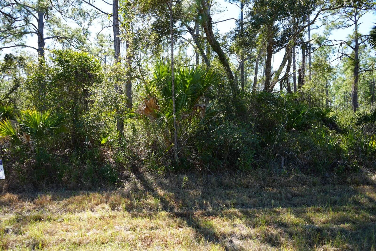 Property Photo:  13101 Rankin Avenue  FL 33953 