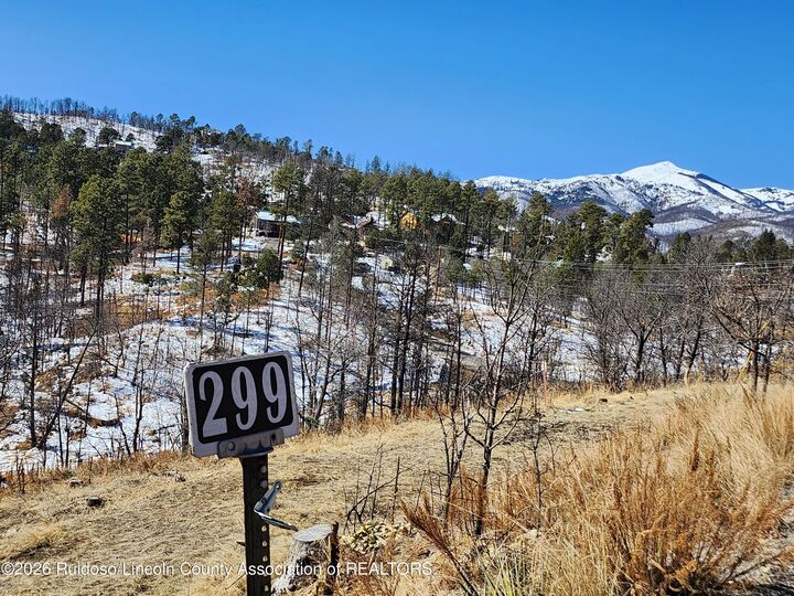 Property Photo:  299 Alpine Village Road  NM 88345 