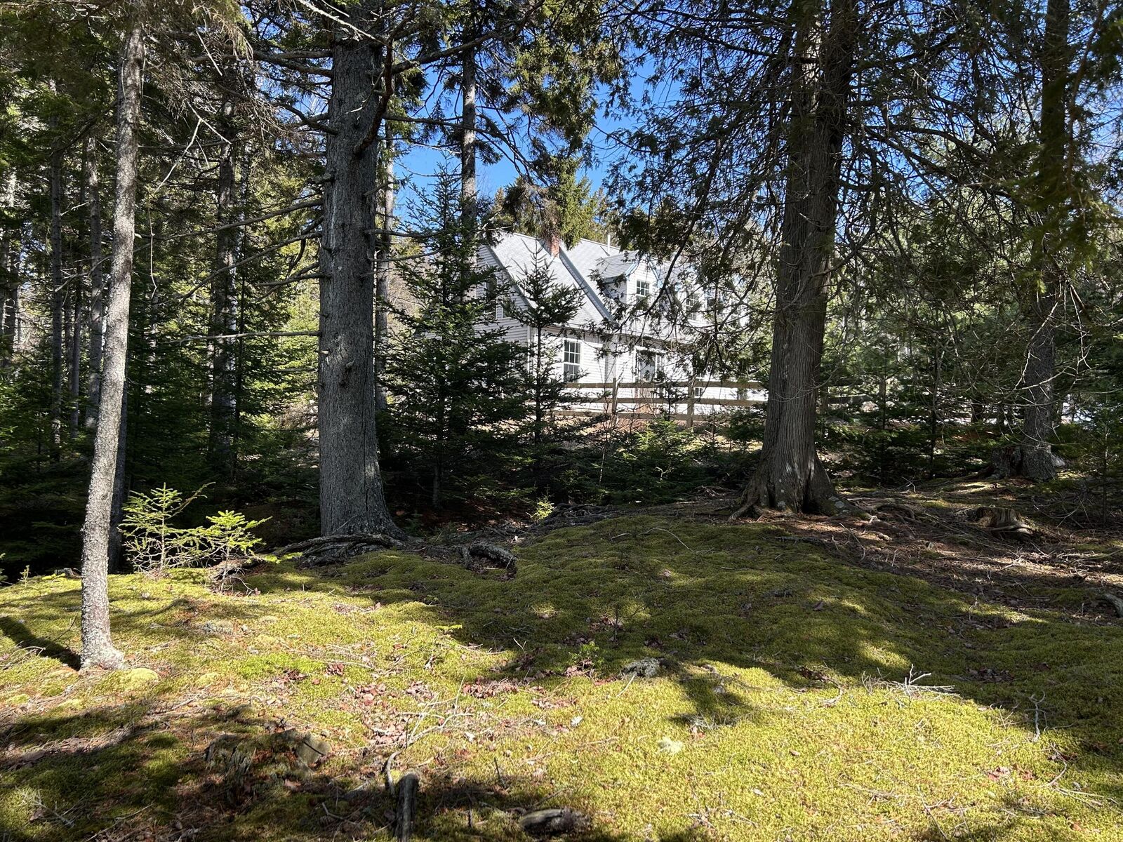 Property Photo:  510 Grand Marsh Bay Road  ME 04607 