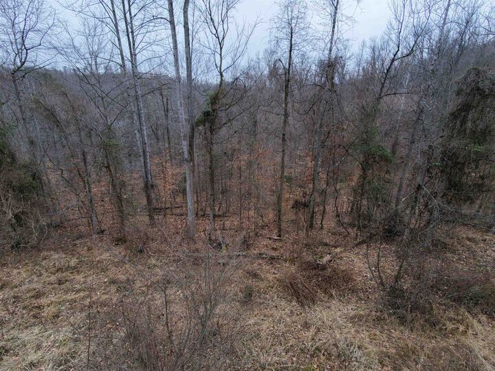 Property Photo: 00 Left Fork Cooper Ridge Road WV 25541