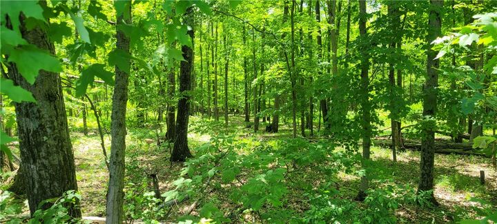 Property Photo: Hagerman Road NY 14825