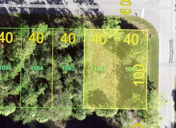 Property Photo:  26153 Flower Road  FL 33955 