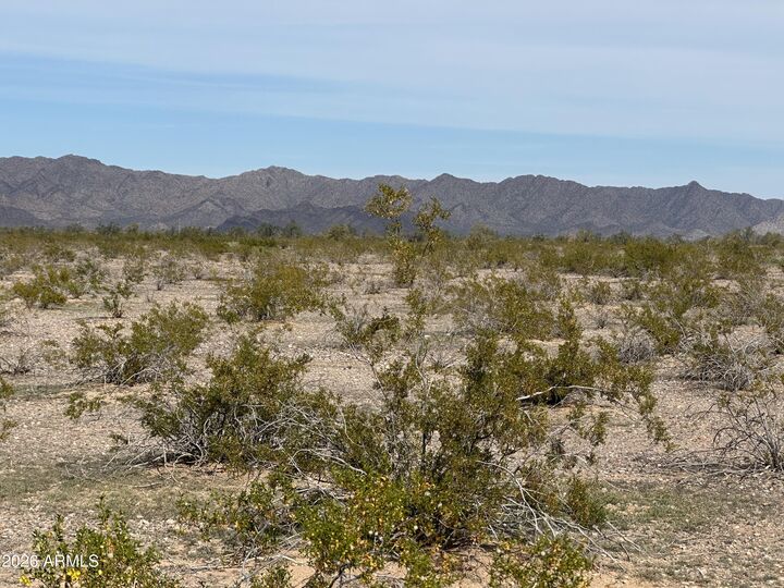 Property Photo:  Xxx N 411th Avenue 0  AZ 85354 
