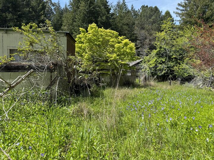 Property Photo: 23501 Branscomb Road CA 95488