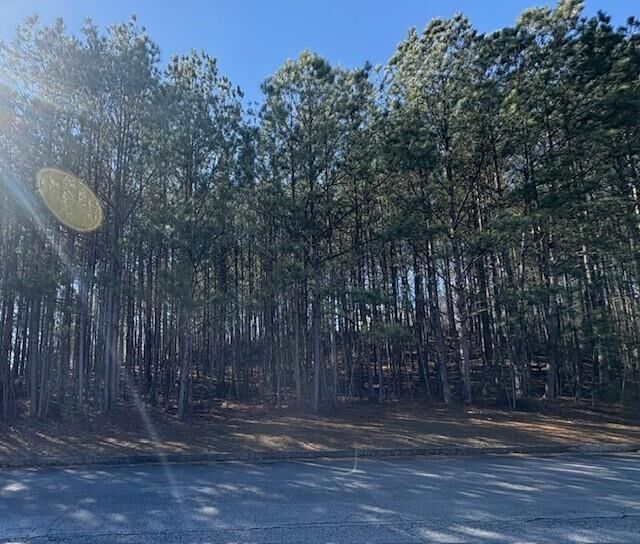 Property Photo:  4385 Bronte Lane  GA 30135 