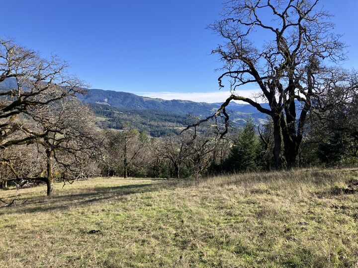 Property Photo: 123 Cemetery Road CA 95514