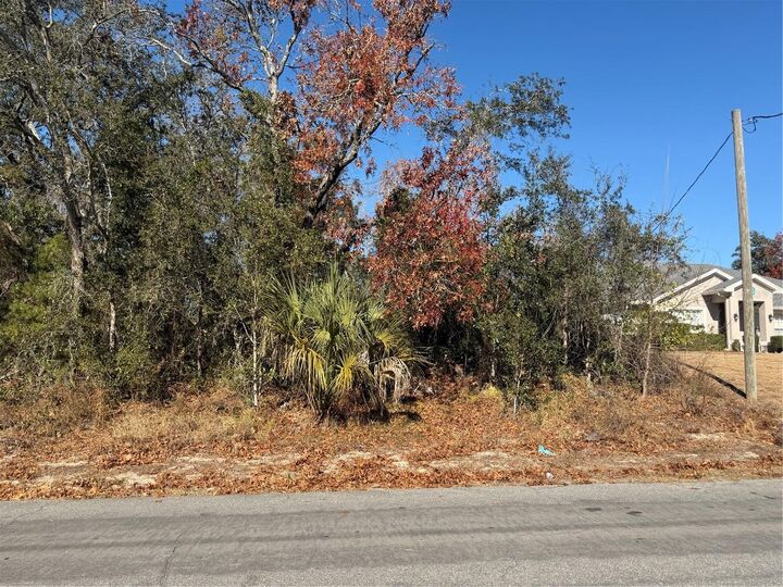 Property Photo:  4307 Castle Avenue  FL 34609 