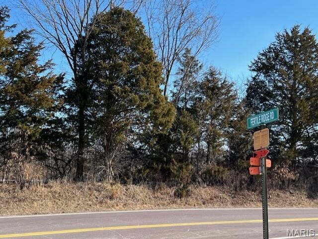 Property Photo:  Lot 6 Parkview Farms  MO 63626 