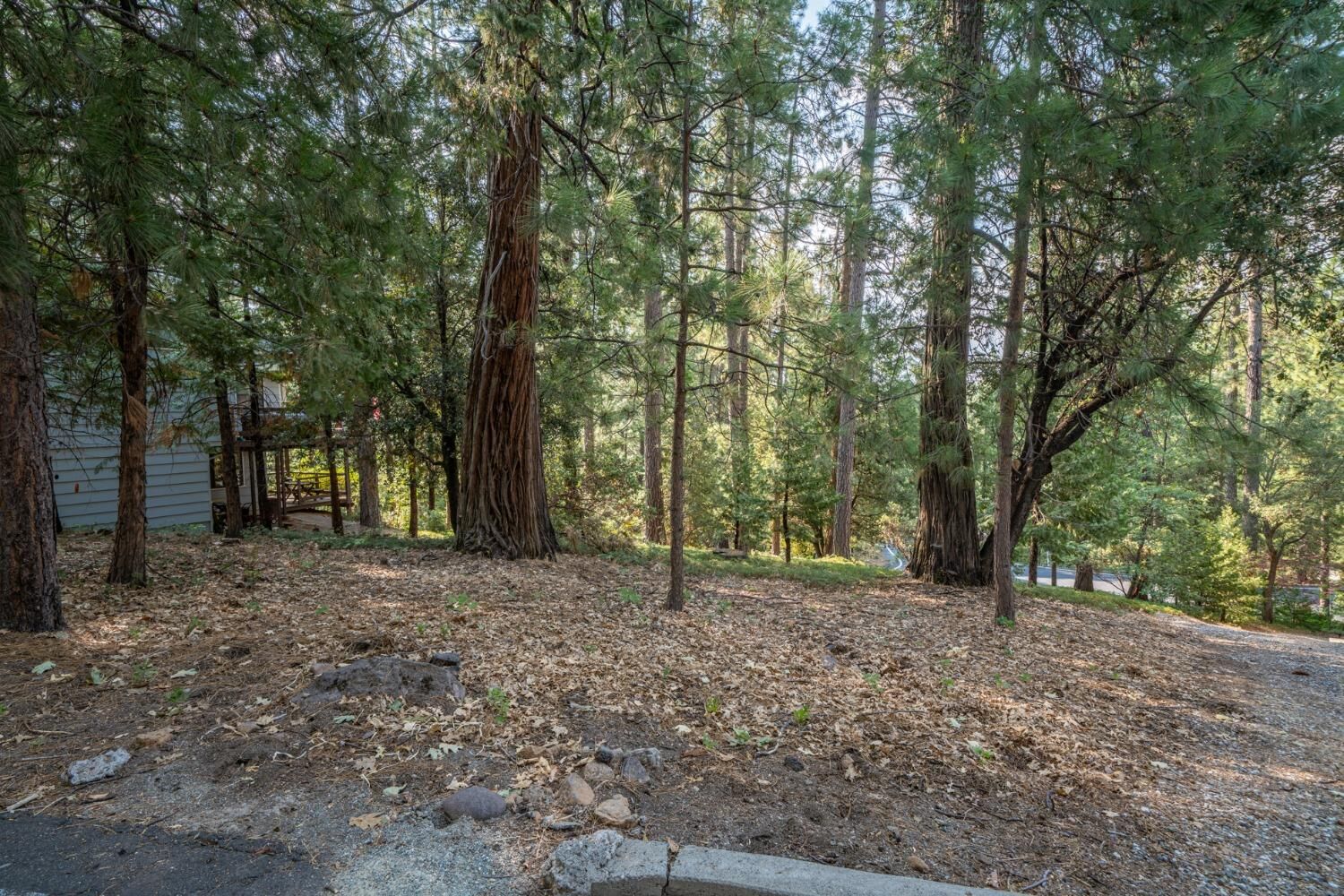 Property Photo:  51 Canterwood Lane  CA 95247 