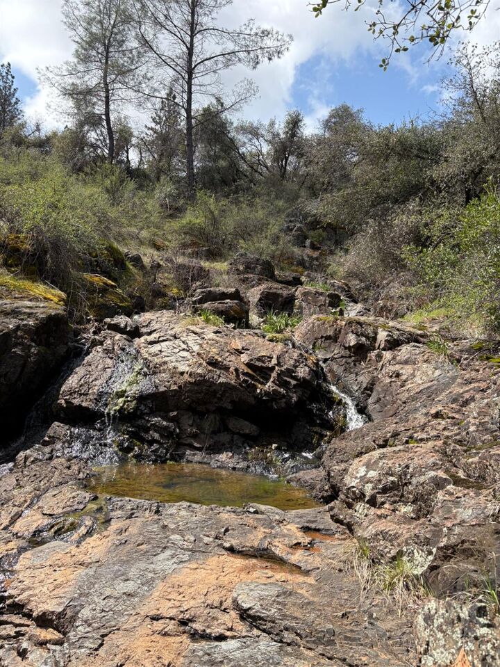 Property Photo: 11006 Dawn Lane CA 95949