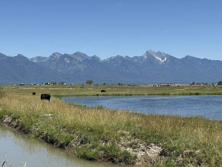 Property Photo:  Nhn Robertson Road  MT 59864 