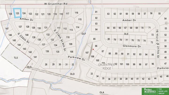 Property Photo:  21922 Amber Drive  NE 68028 