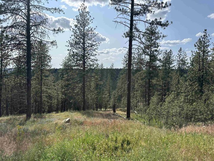 Property Photo:  Nka Lower Weaver Way Lot B  WA 99006 