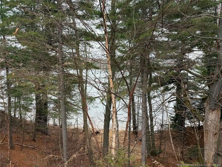 Property Photo: 286 River Road NB E9E 1W1
