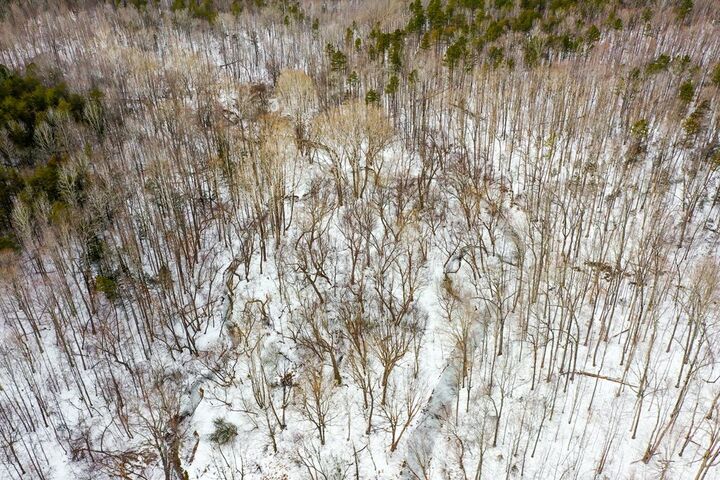 Property Photo:  Farmville Road  VA 23901 