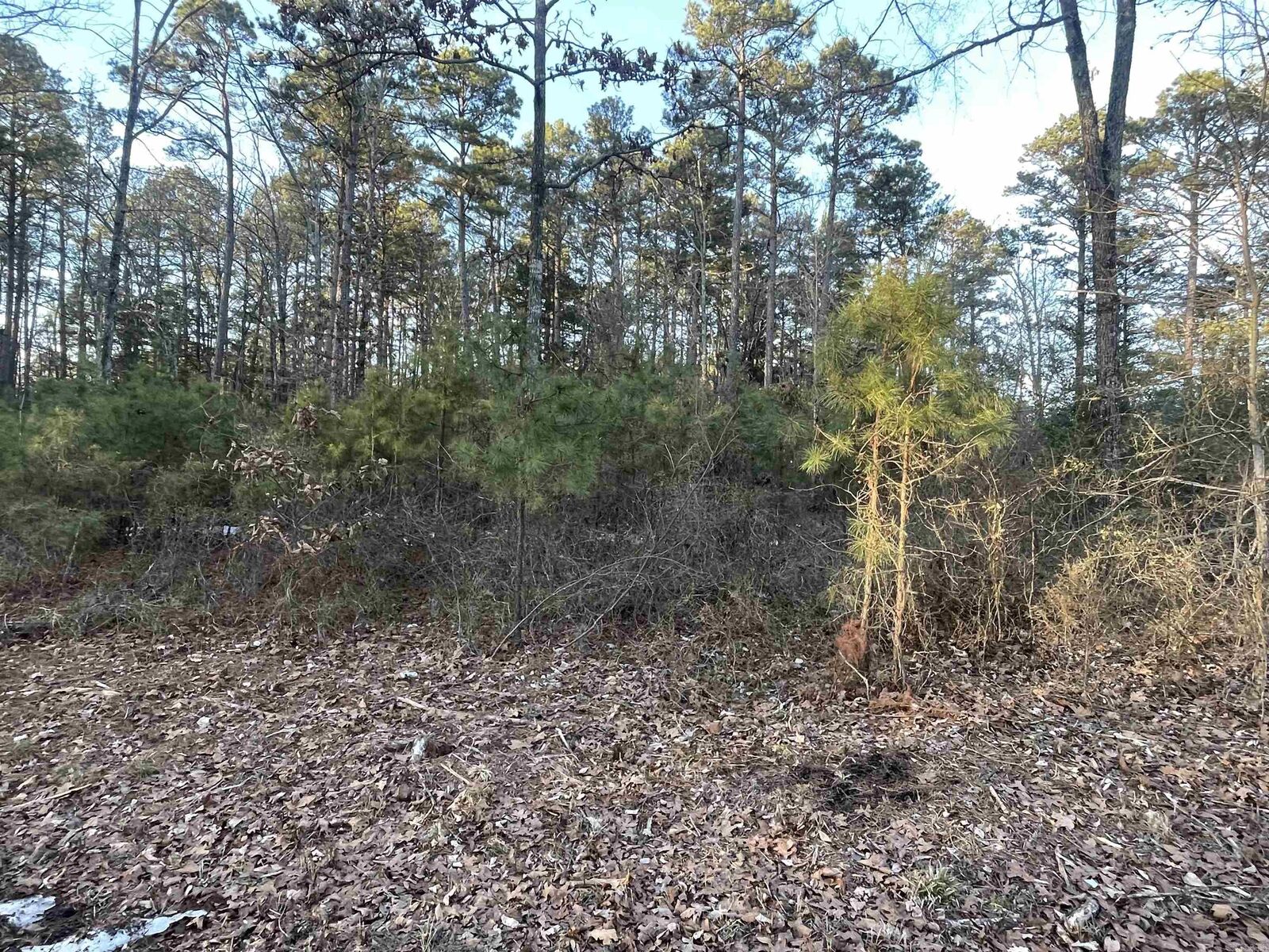 Property Photo: Lot 2 Tract 45 Ellen Lane AR 72067