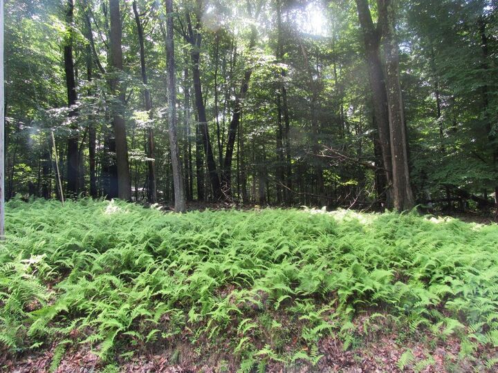 Property Photo:  5 Admiral Dunbar  PA 15801 