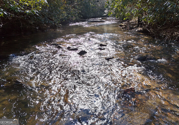 Property Photo: 150 Donna Lee Lane GA 30559