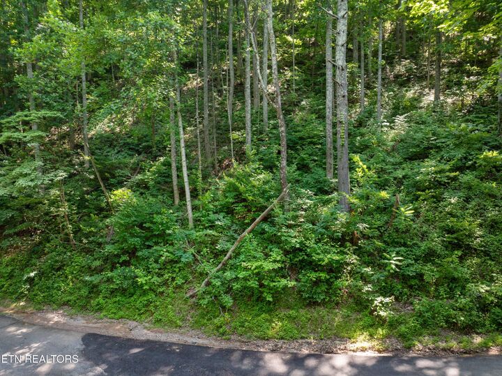 Property Photo:  Emerald Springs Loop  TN 37862 