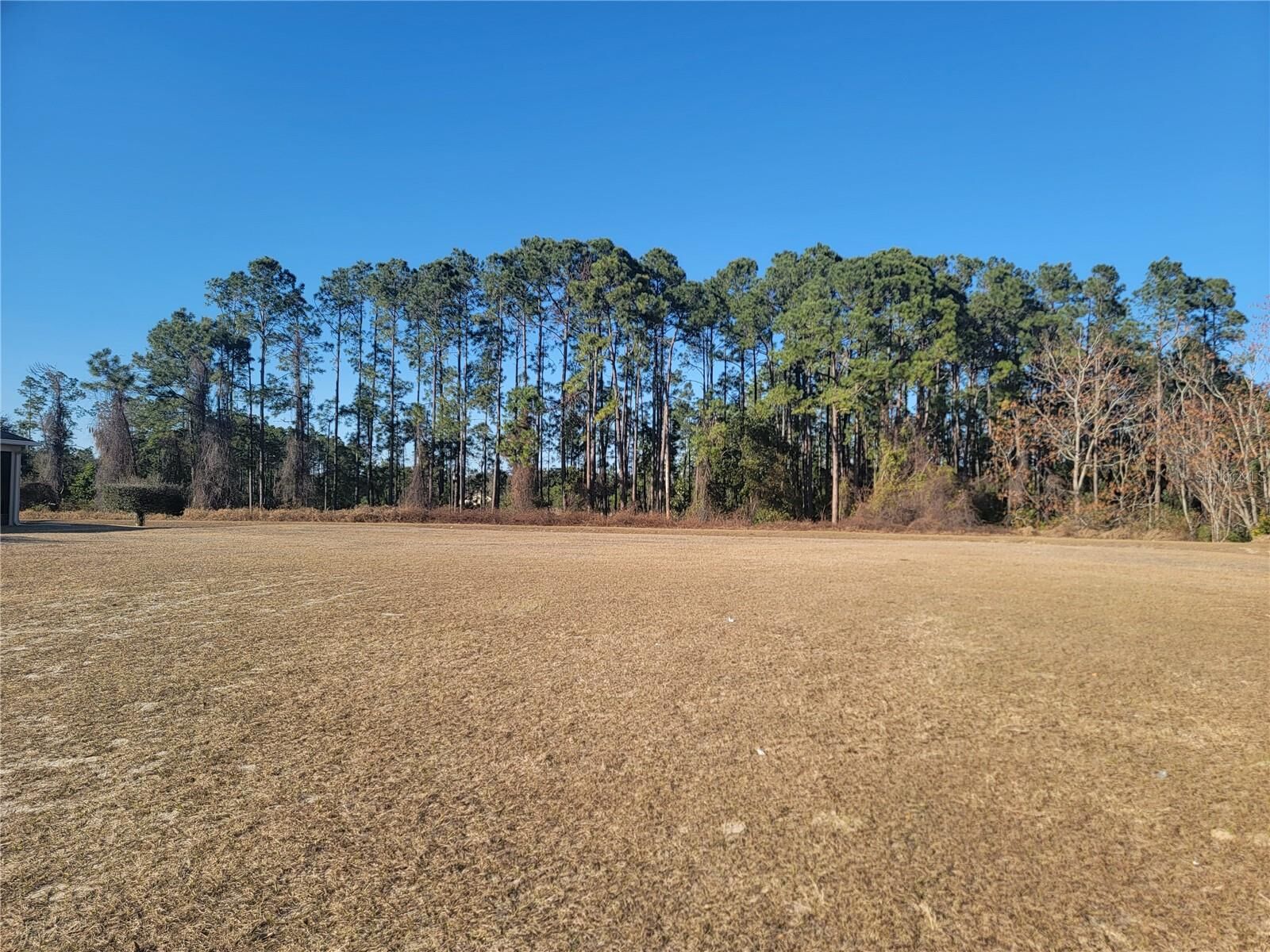 Property Photo:  5820 Windsong Oak Drive  FL 34748 