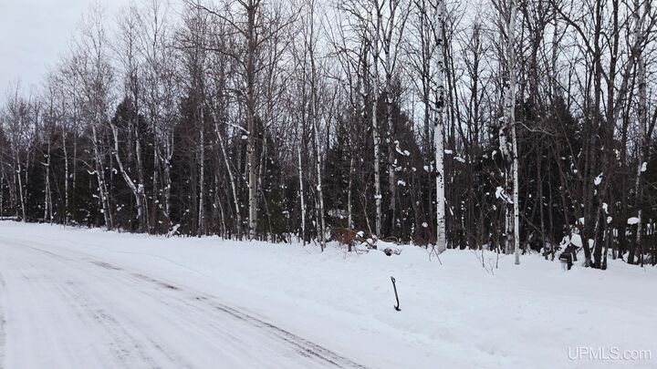 Property Photo:  Tbd Michigan Avenue  MI 49971 