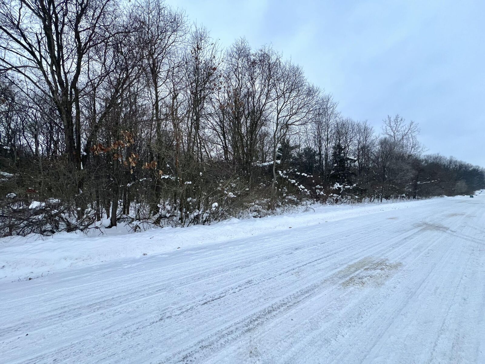 Property Photo:  V/L S 15th Street  MI 49120 