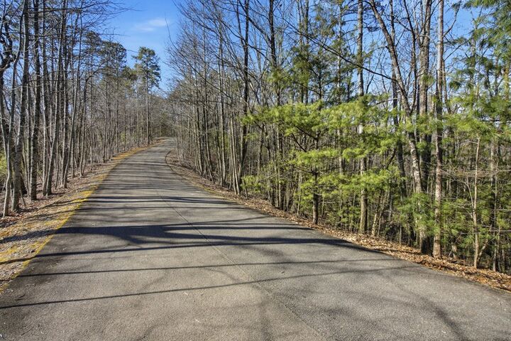 Property Photo:  Lot 18 Dover Highlands Trail  GA 30540 