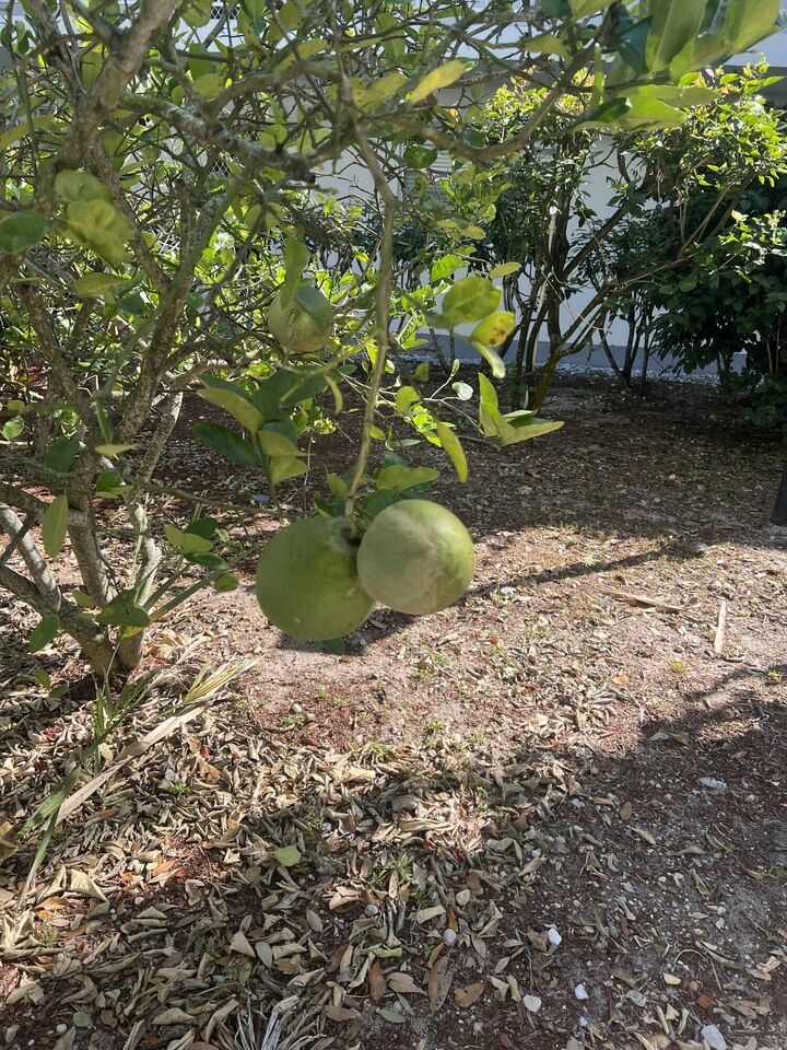 Property Photo:  2302 Sunrise Boulevard 3-201  FL 34982 