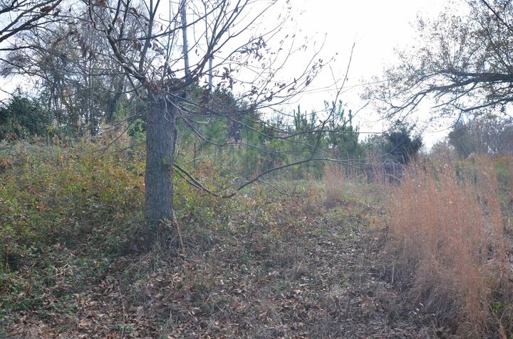 Property Photo:  308 Oak Drive ***  SC 29655 