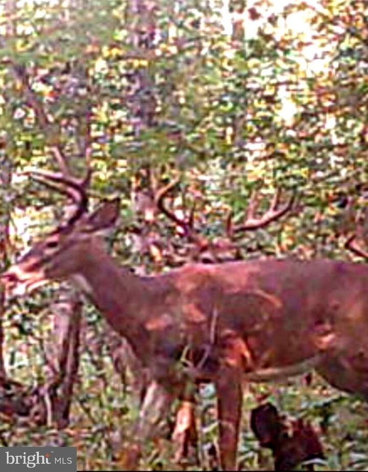 Property Photo:  Petzold Drive Parcel F  MD 20601 