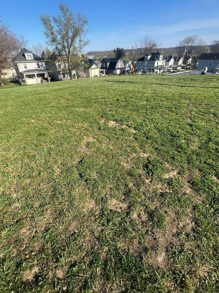 Property Photo: 239 N Cedar Street OH 43055
