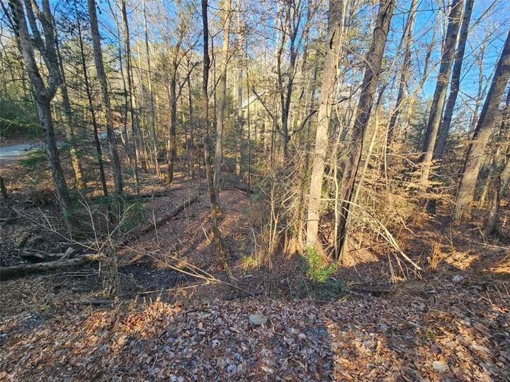 Property Photo:  Lt 162 Nexus Drive  GA 30540 