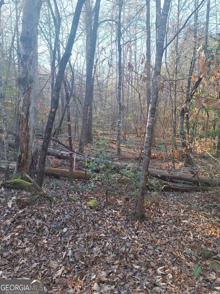 Property Photo: Lots 15A 16A 17 Mill Creek Acres Lane GA 30513