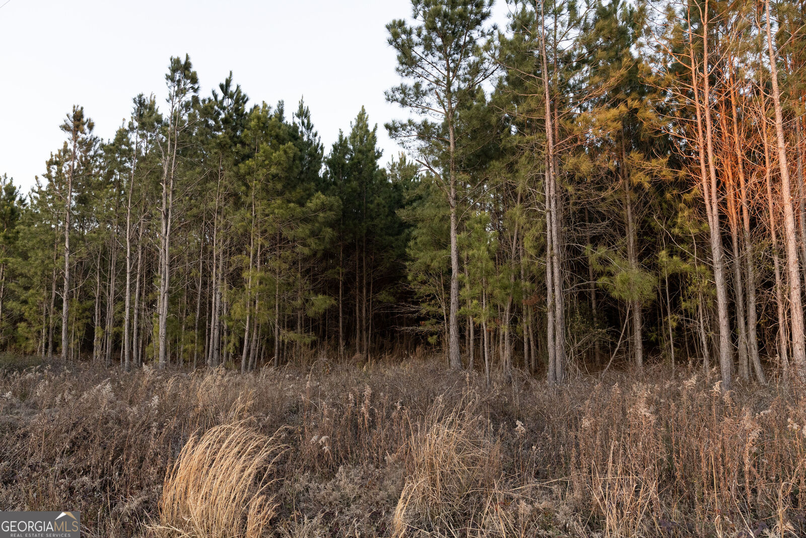 Property Photo:  0 Highway 26  GA 31065 