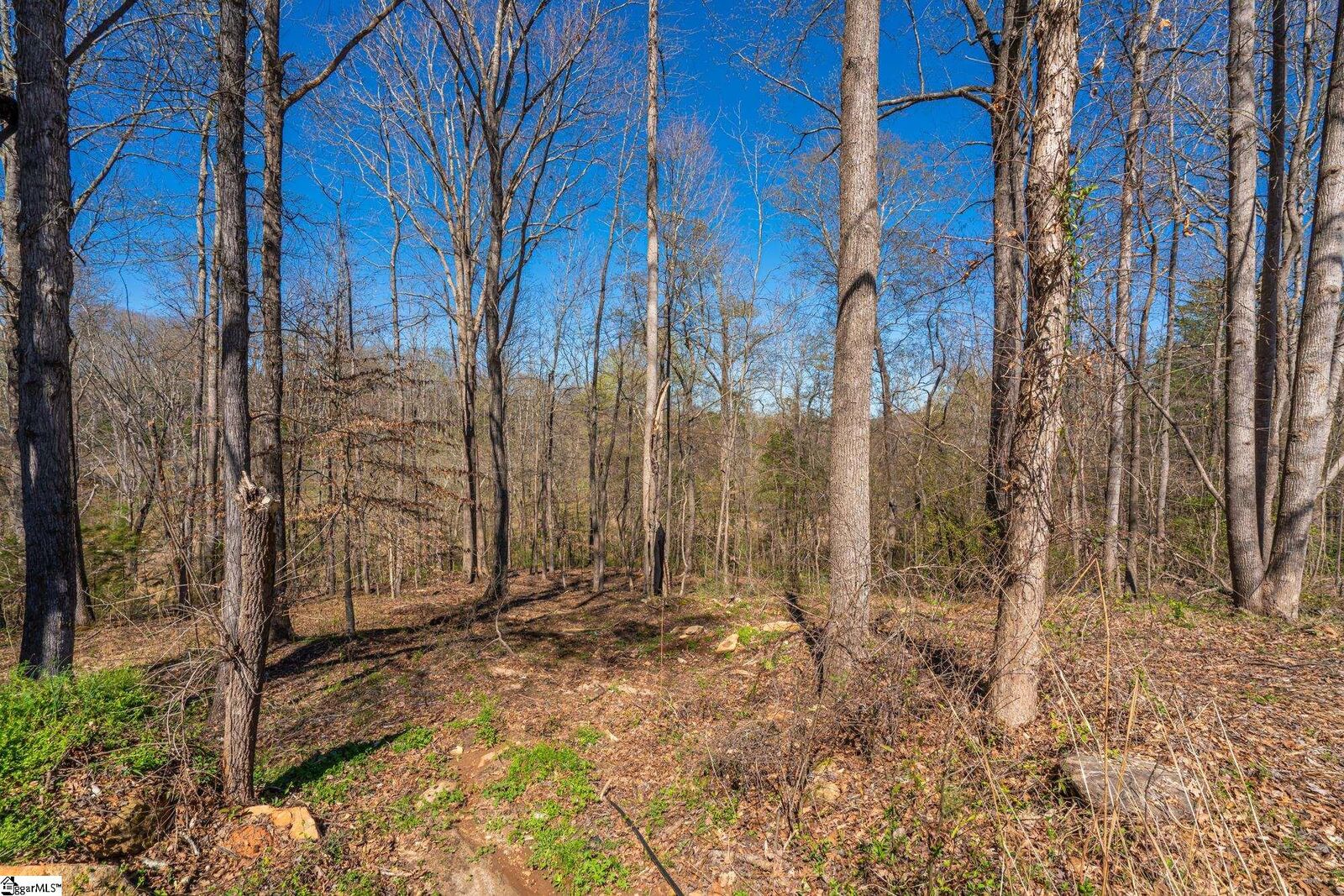 Property Photo:  5 Bagwell Place  SC 29302 