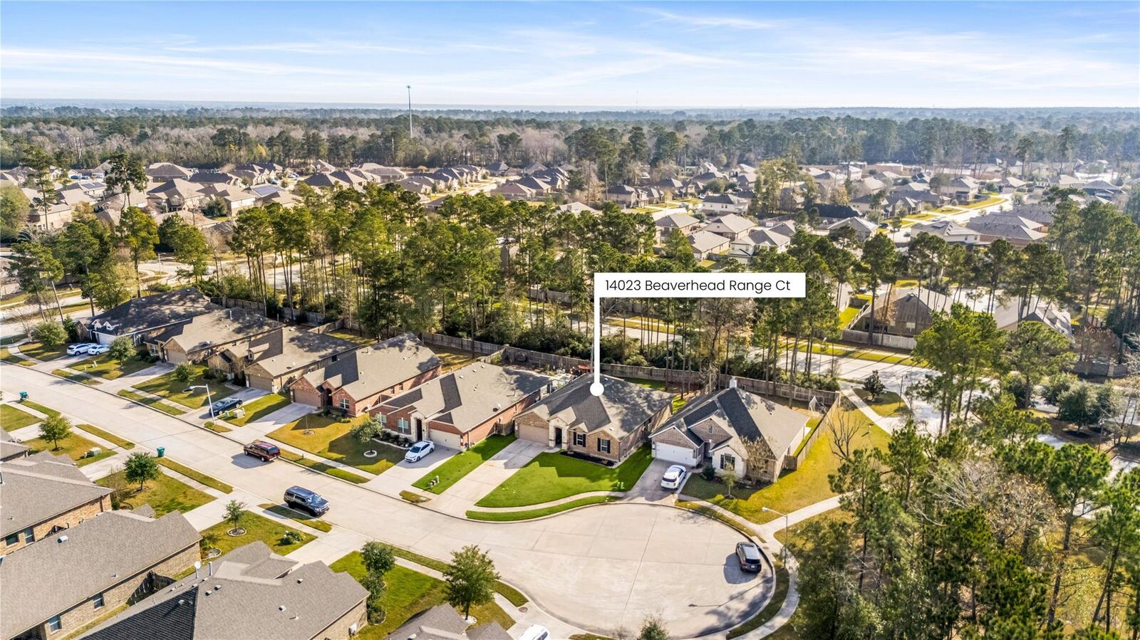 Property Photo:  14023 Beaverhead Range Court  TX 77384 