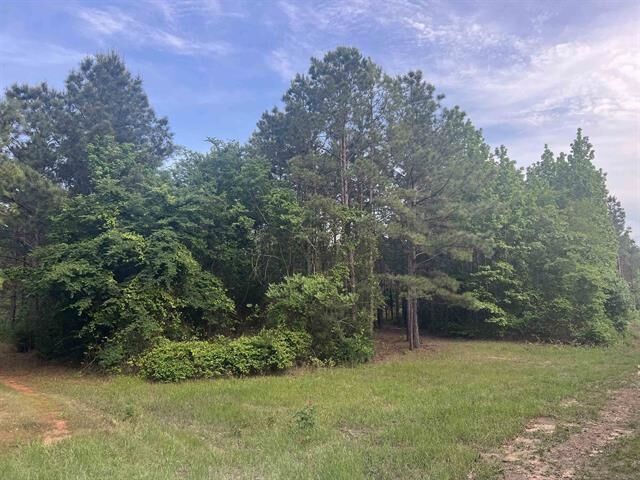 Property Photo:  Cr 477  TX 75654 